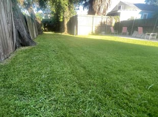Ken S.'s grass maintenance service result
