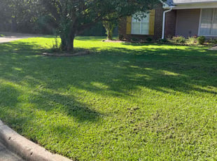 Steven L.'s lawn service service result
