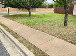 Maria T.'s grass cutting service result