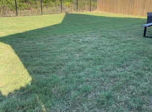 Allison L.'s turf care service result