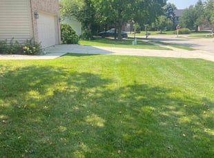 Susan H.'s turf maintenance service result