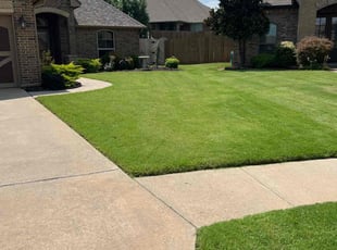 Vector B.'s lawn maintenance service result