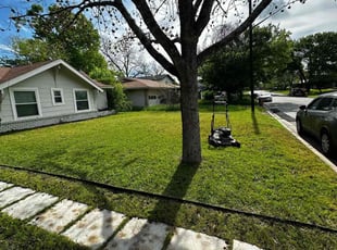 Woodrow W.'s turf care service result