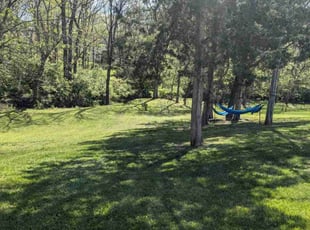 Catherine C.'s landscaping service result