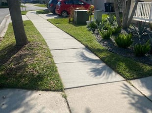 Antoinette P.'s lawn care services service result