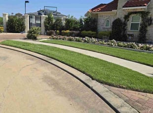 Jay T.'s turf maintenance service result