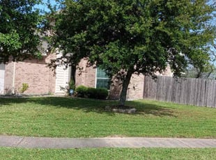 Khoi L.'s lawn maintenance service result