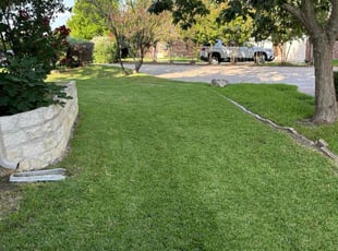 Yisel A.'s lawn service service result