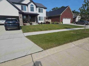 Travis B.'s lawn care service result