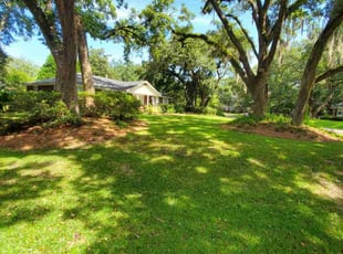 Jo G.'s grass maintenance service result