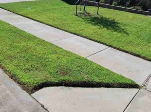 sai N.'s turf maintenance service result