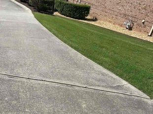 Brittany D.'s lawn care services service result