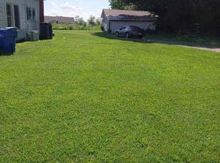 Renesha M.'s lawn service service result