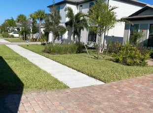 Demetrios H.'s grass maintenance service result