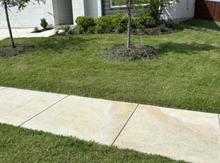 Rhonda K.'s turf maintenance service result