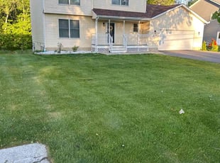 Danielle S.'s lawn service service result