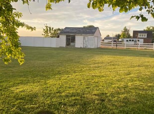 Walter H.'s grass maintenance service result