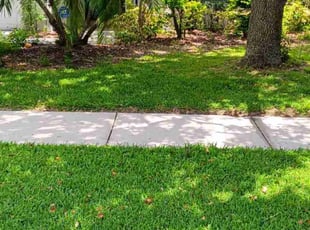 Charlie S.'s lawn care services service result