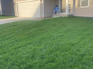 Peter A.'s landscaping service result