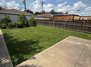 Melissa S.'s turf maintenance service result