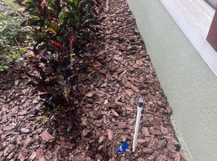 Pamela P.'s Flower Bed Weeding service result