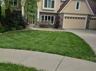 Anita R.'s lawn service service result