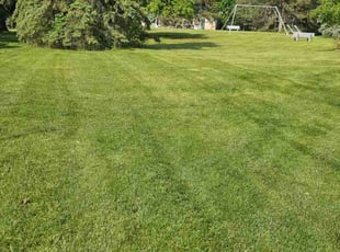 Phantay-Zha D.'s turf maintenance service result