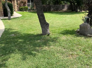Reggie G.'s lawn maintenance service result