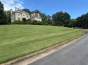Melinda M.'s lawn care service result