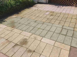 Eileen W.'s turf maintenance service result