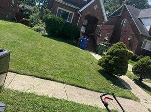 Joseph D.'s grass maintenance service result