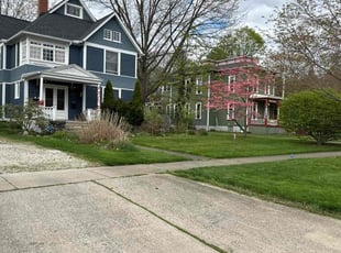 Sohni A.'s turf care service result