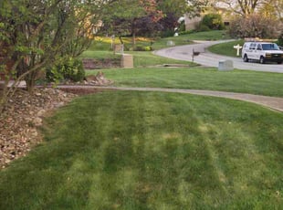 Fernando L.'s lawn care service result