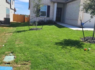 Melissa D.'s grass cutting service result