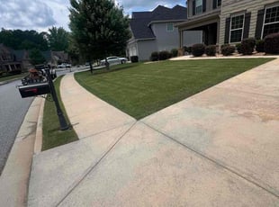 Ruth C.'s lawn service service result