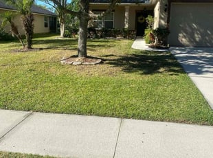 Rick S.'s grass maintenance service result
