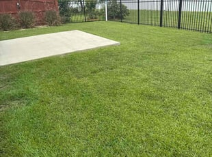 DeAnna H.'s lawn care services service result