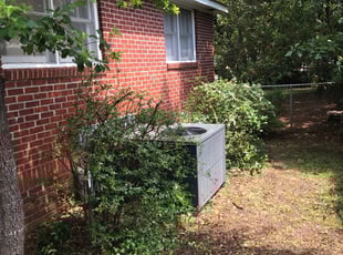 Miguel D.'s Bush Trimming service result