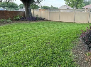 Patricia W.'s landscaping service result