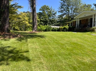 Matthew R.'s turf care service result