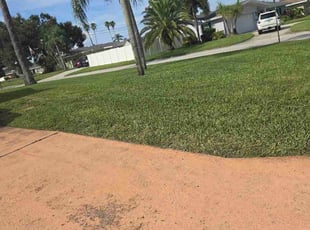 Jennifer A.'s lawn care service result