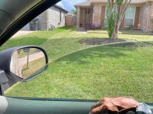 Seth S.'s grass maintenance service result