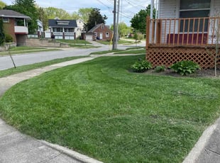 Patrick V.'s lawn maintenance service result
