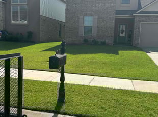 Emily D.'s lawn maintenance service result