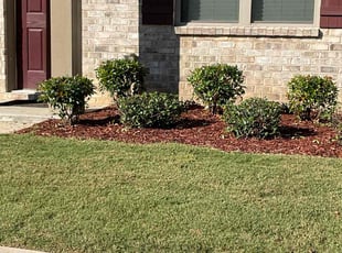 Xuan H.'s Bush Trimming service result