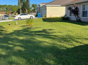Tonia V.'s turf maintenance service result