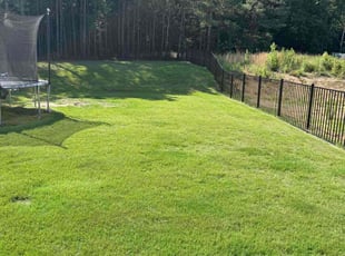 John S.'s grass cutting service result