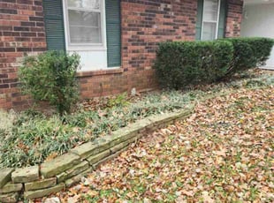 Keith W.'s Bush Trimming service result