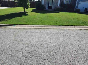 Todd T.'s lawn care services service result