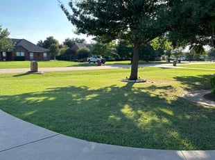 Rebecca M.'s turf care service result